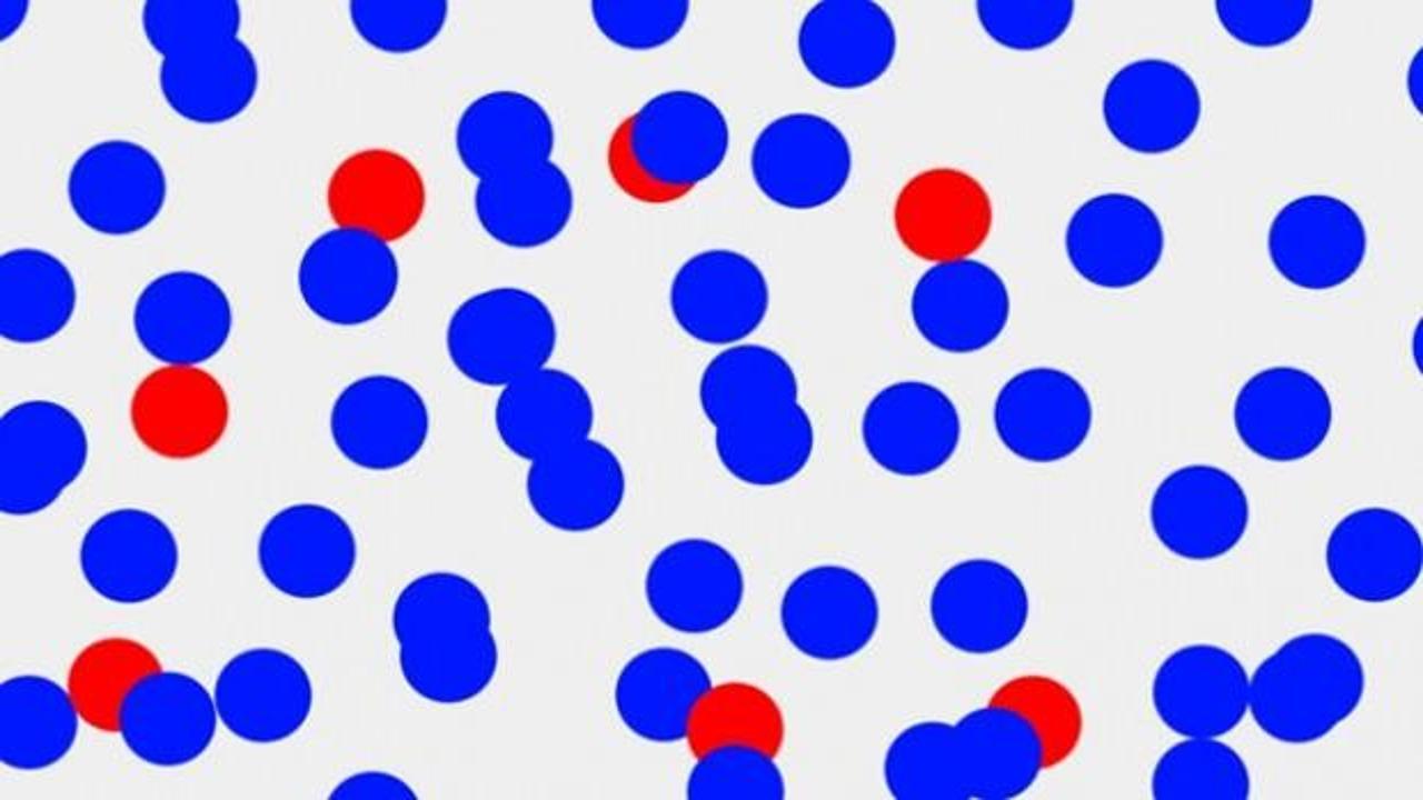 6 saniye içerisinde görseldeki gizli harfi bularak şahin kadar keskin gözlere sahip olduğunuzu kanıtlayın