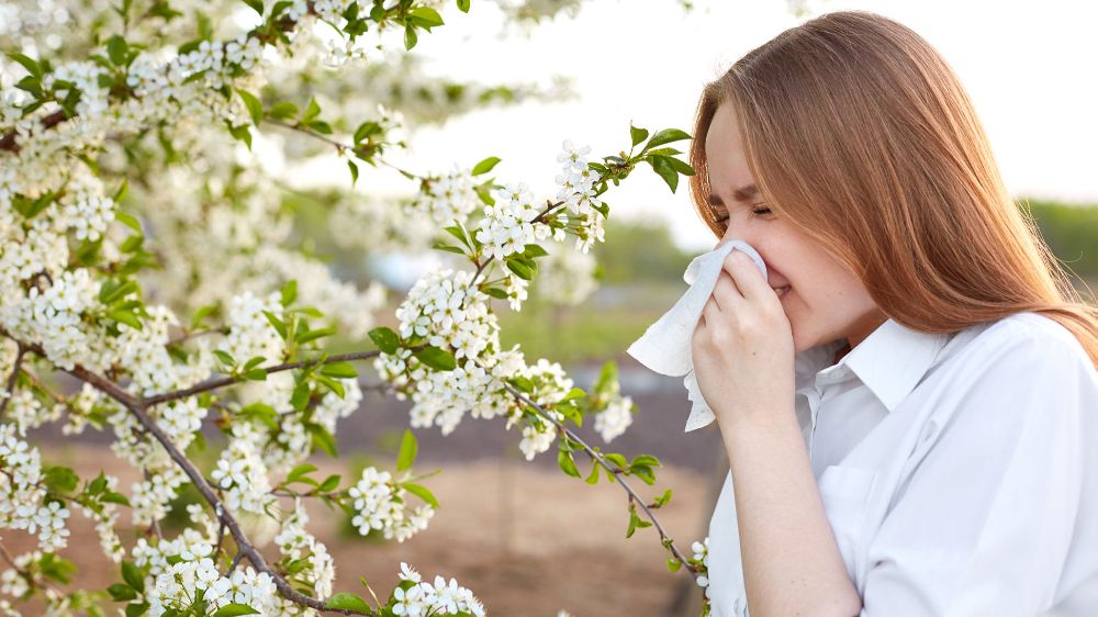 Alerji Semptomlarınızı Doğal Çözümlerle Hafifletin