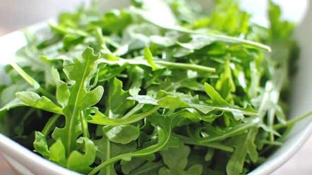 Tere nasıl tüketilir, terenin faydaları nelerdir? Terenin akciğere faydaları…