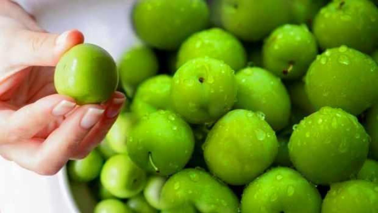 Yeşil eriğin içindeki vitaminler nelerdir? Ekşi eriğin faydaları ve zararları…