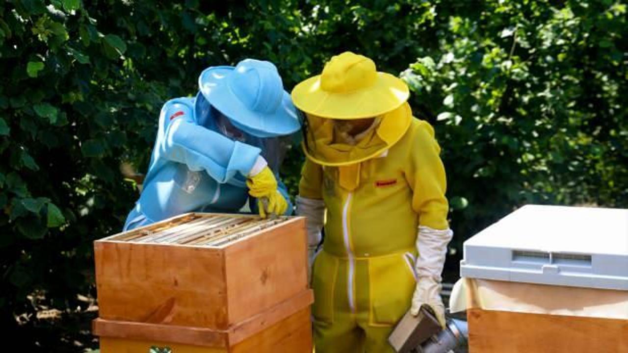 İstanbul’dan Sakarya’ya göç eden çift arıcılıkla yeni bir hayat kurdu