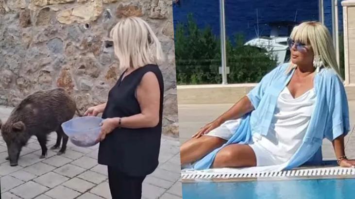 Bodrum’da ilginç anlar: Safiye Soyman domuzu elleriyle besledi!