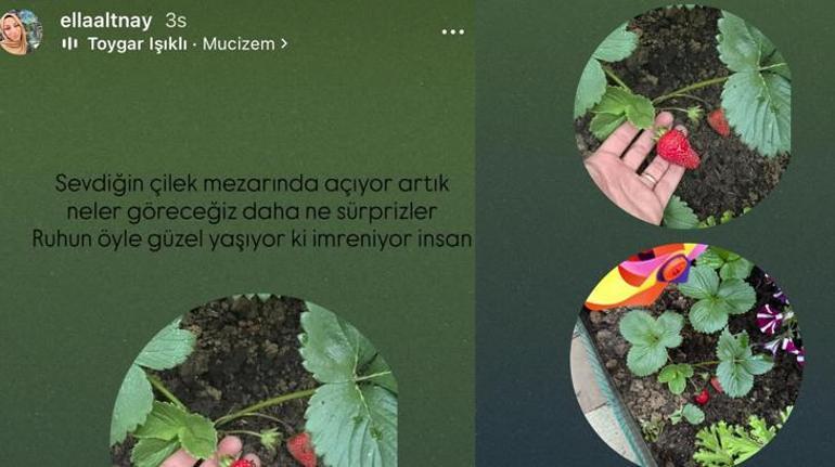 İbrahim Yıldız'ın ablasından duygusal paylaşım! 'Sevdiğin çilek mezarında açıyor'