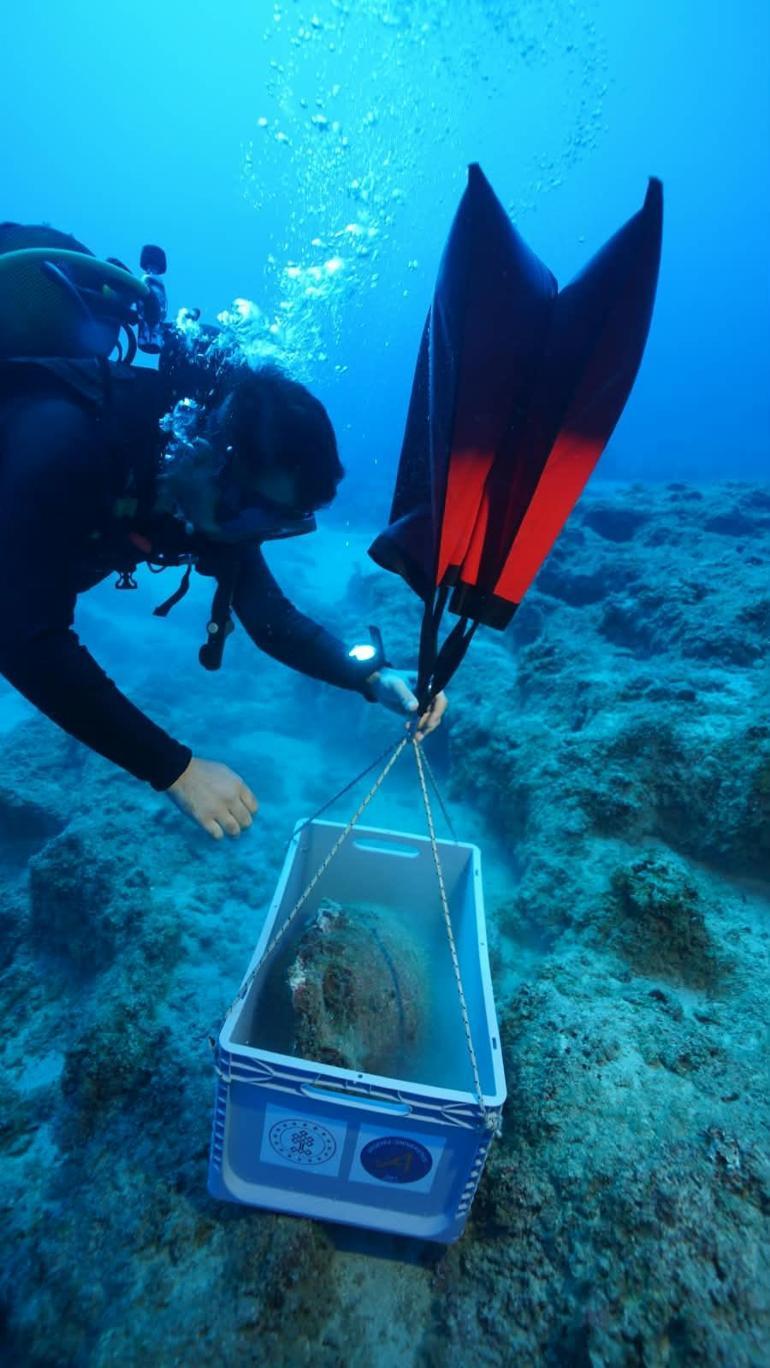 Antalya'da 4.700 yıllık keşif! Dünyanın en eski batığı Kekova’da bulundu